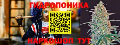 молекула духа Заволжье