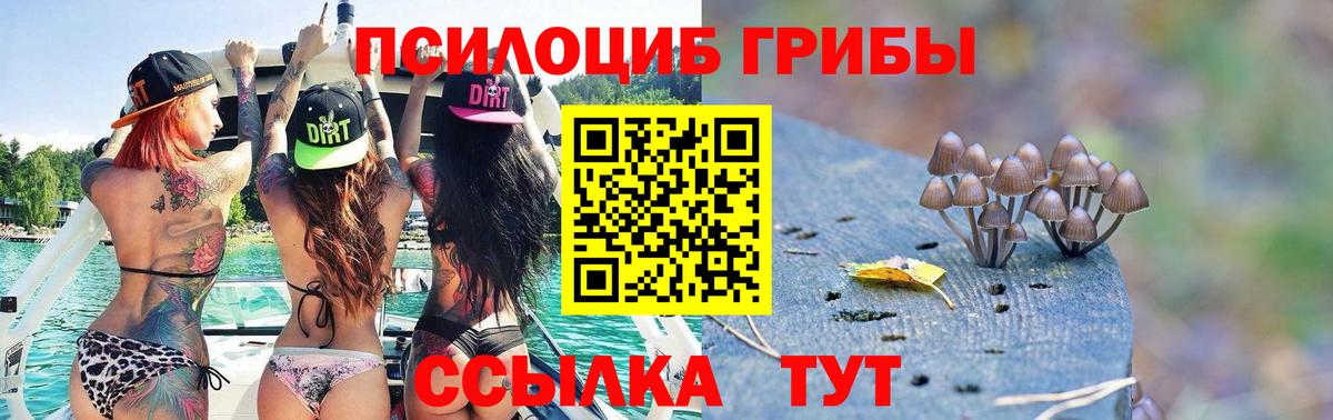 Псилоцибиновые грибы GOLDEN TEACHER Кузнецк