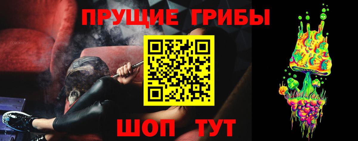 магазин продажи   Галлюциногенные грибы Magic Shrooms  Псилоцибиновые грибы мицелий  Вход с VPN  Кузнецк 