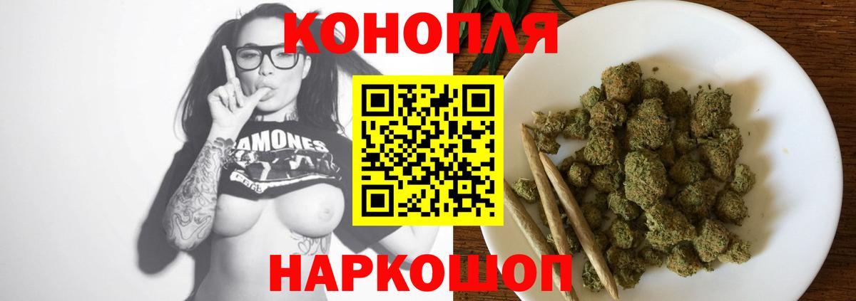 Марихуана гибрид Кузнецк