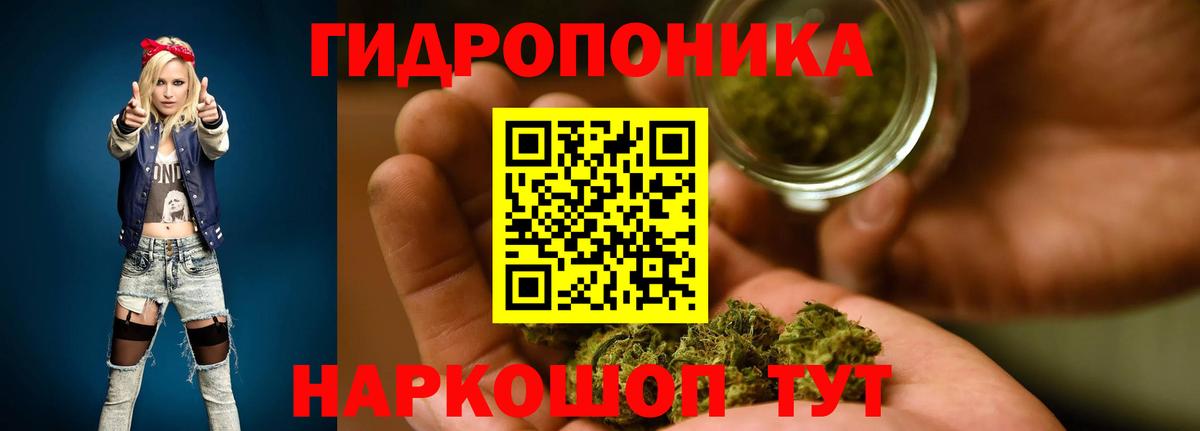 Кузнецк  Шишки марихуана семена  Вход с VPN  Каннабис Ganja  Каннабис Bruce Banner 
